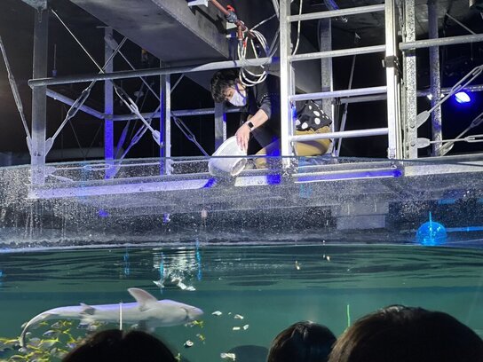 🐠 시마네 현립 신지호 자연관 고비우스 이미지 7